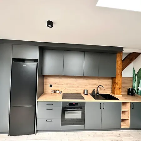 Kobiela Luxury Loft City Center Katovice Exteriér fotografie