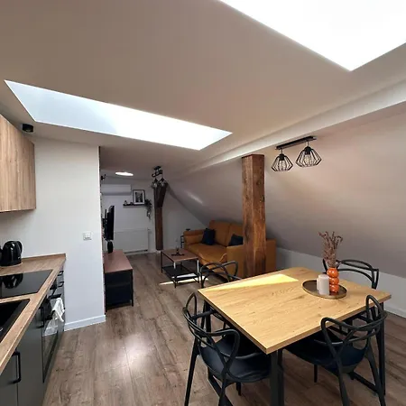 Kobiela Luxury Loft City Center Katovice Exteriér fotografie