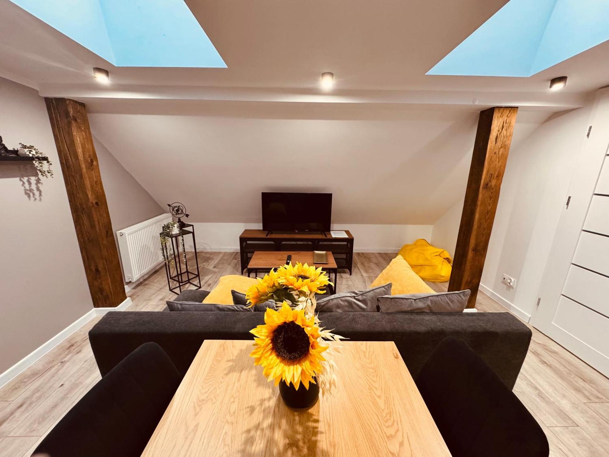 Kobiela Luxury Loft Center Katovice